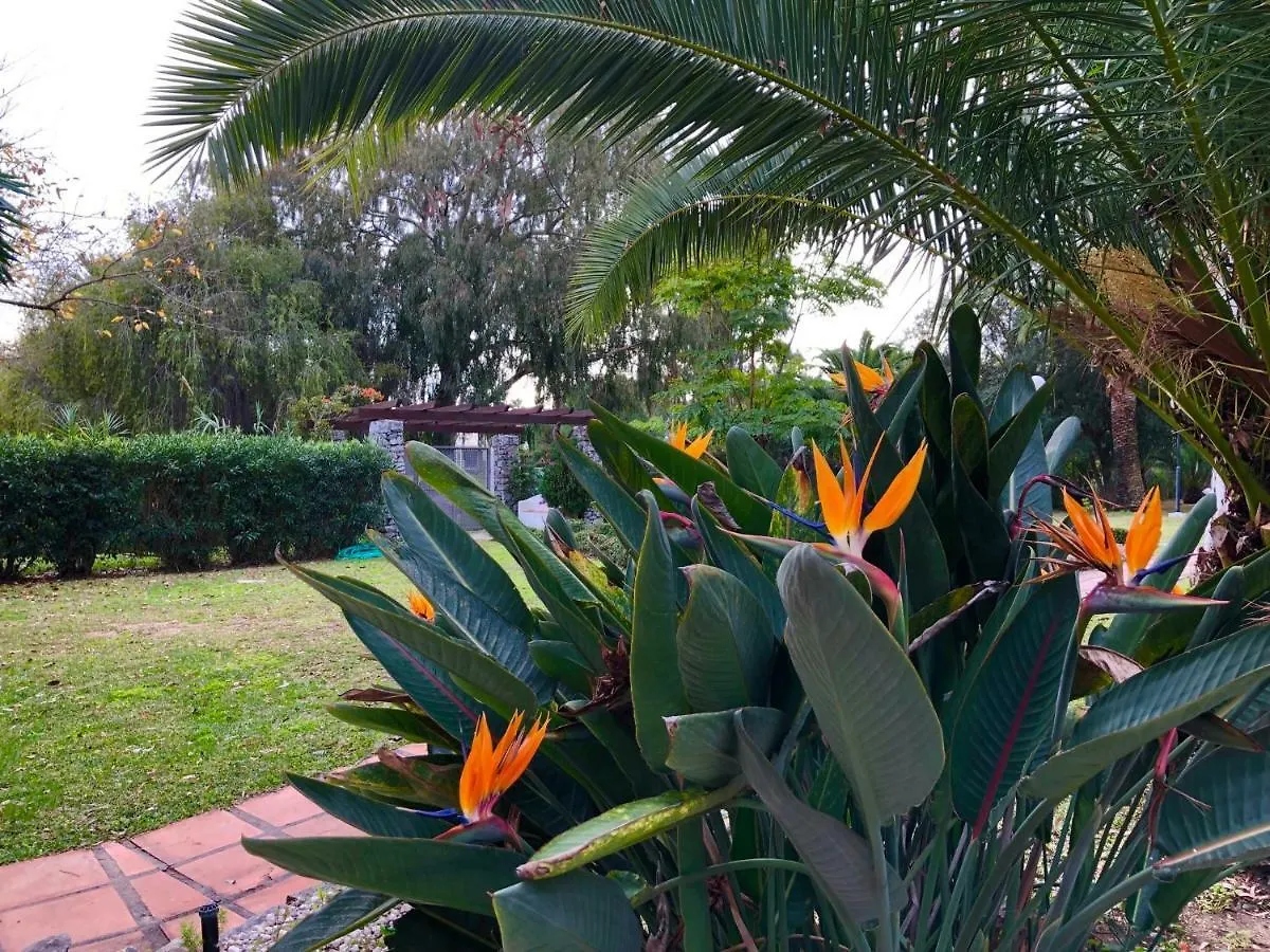 Puerto Banus Apartamento Flores Marbella Spain